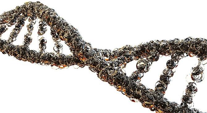 Achieving Precision and Sample Integrity: Huajing's Thermoelectric Cooling Solutions for DNA Amplification and RNA Analysis
